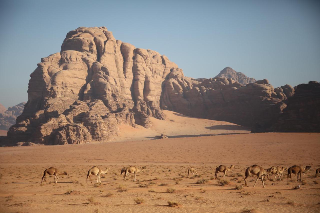 Rum Stars camp Wadi Rum Exterior foto