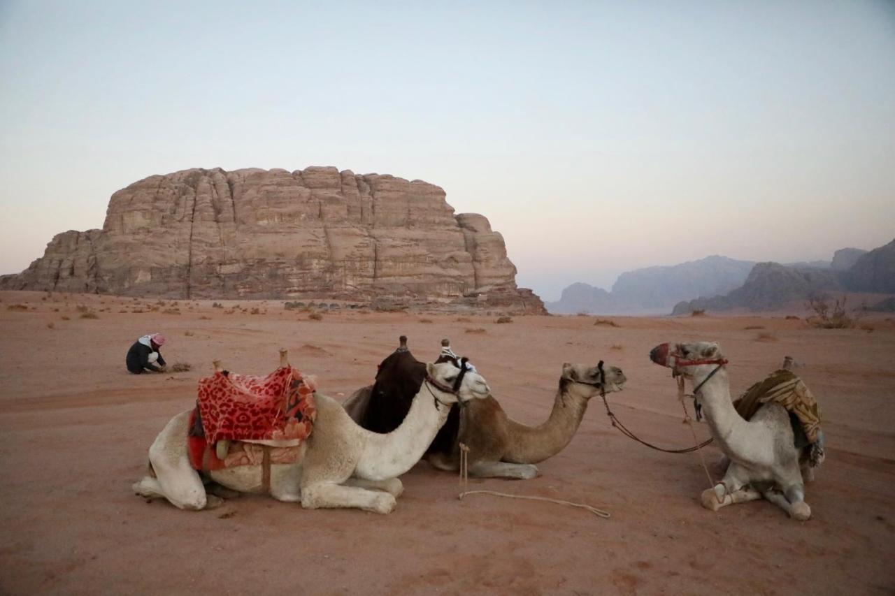 Rum Stars camp Wadi Rum Exterior foto